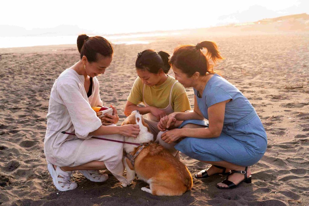 Supporting Work–Life Balance for Modern Pet Owners