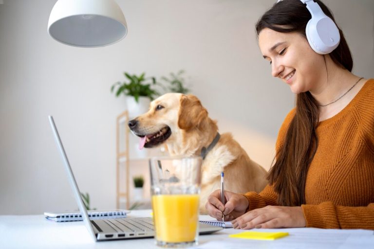 Supporting Work–Life Balance for Modern Pet Owners